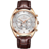 Awesome Luxury Men's Watch