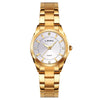 Load image into Gallery viewer, New Arrival Luxury Gold Stainless Steel Watches Bellissimo Deals