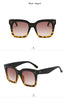 Load image into Gallery viewer, Polarized Aviators Sunglasses Bellissimo Deals
